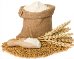 Exporter of Wheat, Wheat Flour, Wheat Flour for Bread