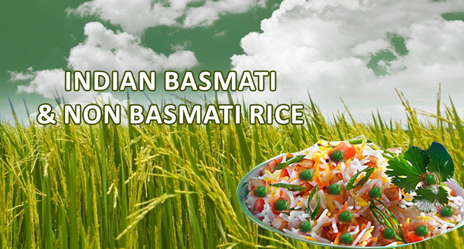 Exporters of Soyabean DOC